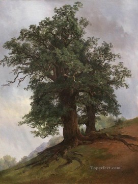 viejo roble 1866 paisaje clásico Ivan Ivanovich árboles Pinturas al óleo
